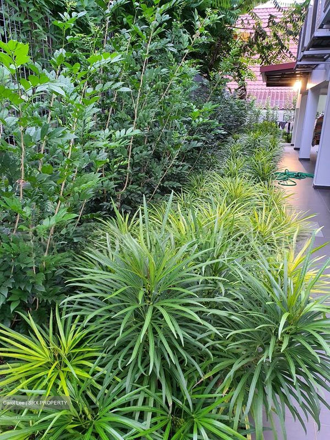 Changi South Lane (D16), Semi-Detached #502588321